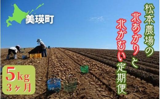 【令和７年産予約受付！】松本農場の北あかり＆北かむい5kg定期便 3ヶ月  | きたかむい キタカムイ 北あかり きたあかり キタアカリ 秋野菜 5kg 人気 おすすめ ランキング いも 芋 イモ じゃがいも ジャガイモ 野菜 3か月 3回便 3回[024-53] 2005200 - 北海道美瑛町