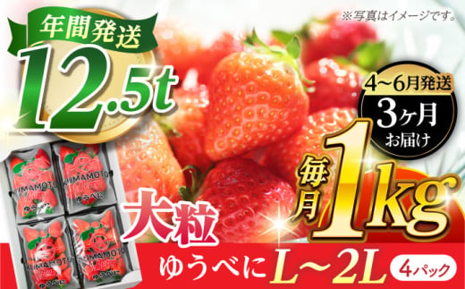 《4月より発送開始》 【3回定期便】 大粒いちご L〜2L ゆうべに 1kg（4pc）【熊本ベリー】 [ZER025]