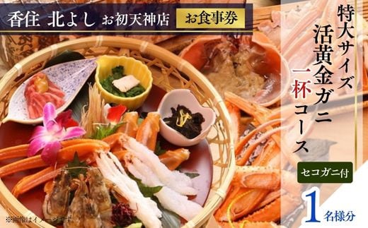  【香住 北よし お初天神店 お食事券 1名様分 活黄金ガニ1杯コース（背子ガニ(香箱ガニ)付き） 】提供期間：2025年9月15日～2026年5月31日（水曜日、年末年始、お盆除く）紅ズワイガニ 松葉ガニ ズワイガニ 活ガニ カニ かに 蟹 カニの本場 しゃぶ 刺身 焼き 蒸し かにすき 蟹スキ 鍋 お鍋 かにみそ ふるさと納税 大阪 梅田 兵庫県 香美町 香住 食事券 北由商店 44-10