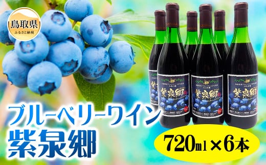 E24-005 ブルーベリーワイン紫泉郷720ml 6本ｾｯﾄ【数量限定】 587580 - 鳥取県鳥取県庁