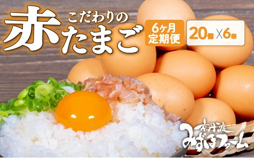 【定期便】赤たまご20個 6回 毎月 6カ月 定期 お届け こだわり卵 たまご 濃い 玉子 セット 玉子焼き 卵焼き オムレツ 卵かけご飯 ゆで卵 鶏卵 卵黄 ※北海道・東北・沖縄・その他離島は配送不可 [026MF001R] 2010329 - 京都府京丹波町