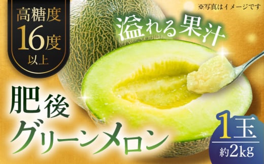 【先行予約】【数量限定】肥後グリーンメロン　約2kg(1玉入)【日本フルーツ株式会社】 [ZFJ005]