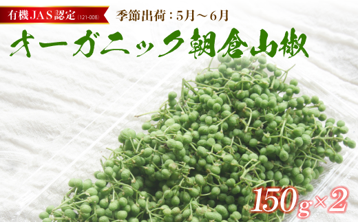 【2025年初夏発送】 有機 JAS 認定 朝倉山椒 300g （150g×2） ： 先行予約 数量限定 京都 舞鶴 山椒 実山椒 生 生鮮 新鮮 採れたて 農家直送 産地直送 佃煮 ちりめん山椒 オーガニック 有機栽培 山椒の実 スパイス 香辛料