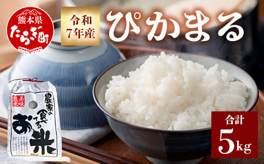 令和7年産 新米 先行予約 多良木町産 ぴかまる 5kg （ 10月下旬より順次発送 ）新米 農家が食べる お米 5キロ 甘み 米 美味しい米 米 白米 精米 熊本  065-0640