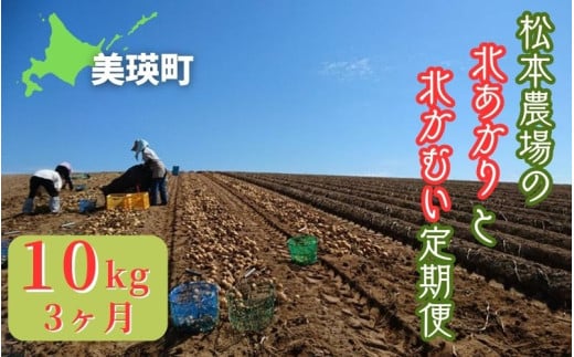 【令和７年産予約受付！】松本農場の北あかり＆北かむい10kg定期便 3ヶ月  | きたかむい キタカムイ 北あかり きたあかり キタアカリ 秋野菜 10kg 人気 おすすめ ランキング いも 芋 イモ じゃがいも ジャガイモ 野菜 3か月 3回便 3回[036-40] 2005199 - 北海道美瑛町