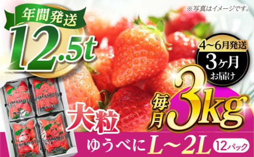 《4月より発送開始》 【3回定期便】 大粒いちご L〜2L ゆうべに 3kg（12pc）【熊本ベリー】 [ZER027]