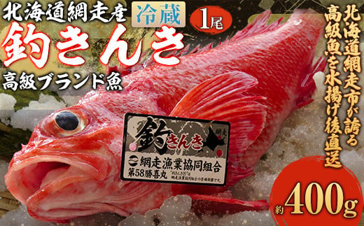 [先行予約][網走産]高級ブランド釣きんき 1尾[冷蔵](2025年5月15日より順次発送) [ ふるさと納税 人気 おすすめ ランキング きんき 釣きんき キンキ 一夜干し 高級魚 冷凍 直送 ブランド魚 魚介 オホーツク 北海道 網走市 送料無料 ]