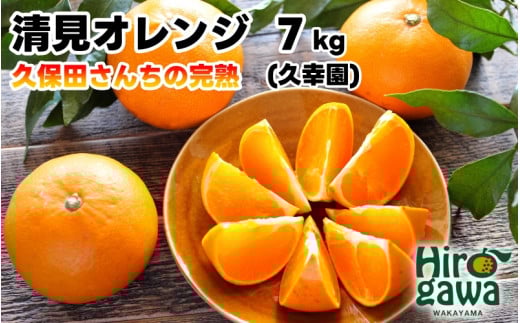 完熟 清見 オレンジ 7kg 久幸園 / 清見オレンジ 清見タンゴール きよみ 清美 甘い 高級 和歌山 柑橘 ※4月上旬～5月下旬に順次発送 【hsk011-r-7B】 652592 - 和歌山県広川町