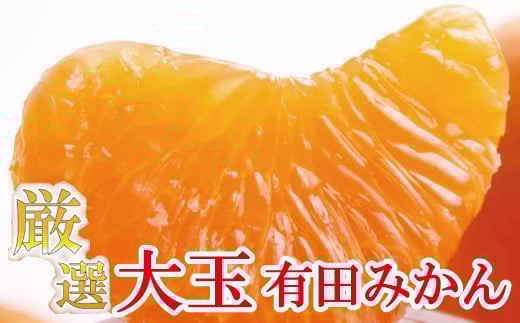 厳選 大きな 有田みかん 約4kg+120g（傷み補償分） 光センサー選果 【11月より発送】【IKE180】 468259 - 和歌山県かつらぎ町