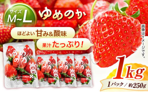 【家庭用に最適】長崎いちご「ゆめのか」M〜Lサイズ 約250g×4パック 合計1000g /イチゴ フルーツ デザート ジューシー 食卓 おやつ/諫早市/長崎県央共同組合Aコープ [AHAA034]