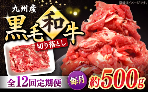 切り落とし 【12回定期便】長崎県産 黒毛和牛 切り落とし 約500g＜宮本畜産＞ [CFA052] 長崎 西海 和牛 牛肉 切り落とし 便利 肉じゃが カレー きりおとし 切り落とし 2000056 - 長崎県西海市