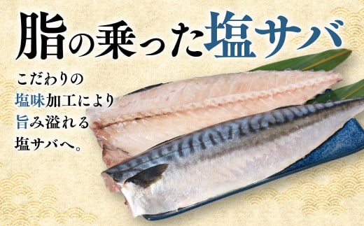 脂の乗った塩サバこだわりの塩味加工により、旨み溢れる塩サバへ。