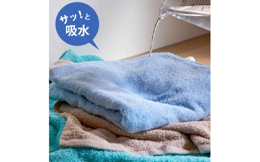 大阪府泉大津市のふるさと納税 吸水力と肌触りが自慢のデイリーユースフェイスタオル チャコールグレー 9枚 泉州タオル ふんわり ふわふわ 吸水性 セット 日用品 大阪府 泉大津市 [4779]