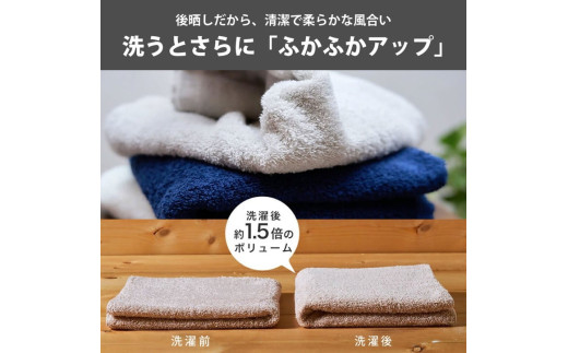 大阪府泉大津市のふるさと納税 吸水力と肌触りが自慢のデイリーユースフェイスタオル チャコールグレー 9枚 泉州タオル ふんわり ふわふわ 吸水性 セット 日用品 大阪府 泉大津市 [4779]