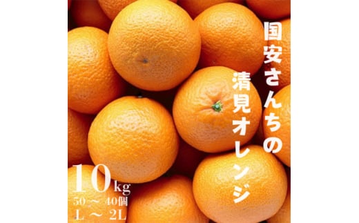 ＜まるで食べるジュース!越冬完熟品＞愛媛産 清見オレンジ 10kg＜G20-41＞【1594852】 2002278 - 愛媛県八幡浜市