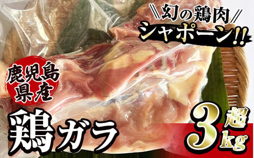 2922 唯一の国産　幻の鶏肉　シャポーン鹿児島鶏　鶏ガラ３㎏以上【鶏ガラ 鶏肉 鶏 鳥肉 鶏がら 鶏ガラスープ スープ シャポーン鶏】 2003242 - 鹿児島県鹿屋市