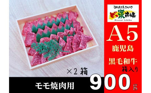 2879 A5ランク鹿児島産黒毛和牛モモ焼肉木箱　900ｇ　450ｇ×2箱 【鹿児島 黒毛和牛 和牛 牛肉 肉 国産 冷凍 a5ランク モモ 焼肉 ギフト 贈答】 2005989 - 鹿児島県鹿屋市