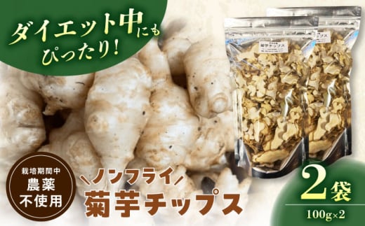 菊芋チップス 200g 乾燥菊芋 野菜チップス ノンフライ 多治見市 / 諏訪農林 [TDO008] 2001851 - 岐阜県多治見市