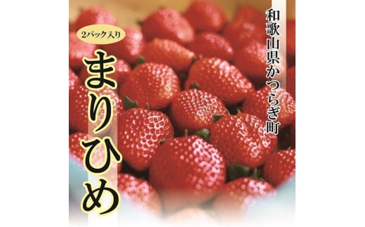 特選☆いちご【まりひめ】【1月中旬から5月上旬まで発送】【KF9】 640024 - 和歌山県かつらぎ町