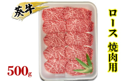 [№5695-1733]食通の静岡牛・葵 ロース 焼肉用 500g 牛肉 島田市 2002538 - 静岡県島田市