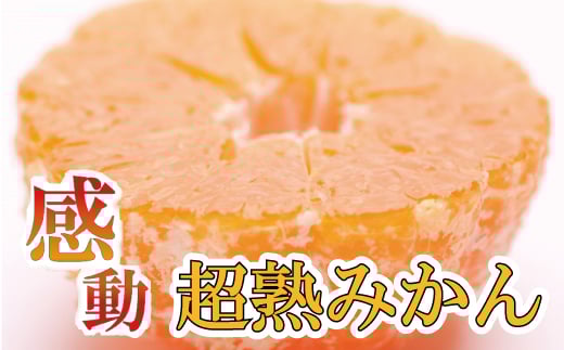 厳選 超熟 有田みかん 約3kg+90g（傷み補償分） 【11月より発送】【IKE175】 468240 - 和歌山県かつらぎ町