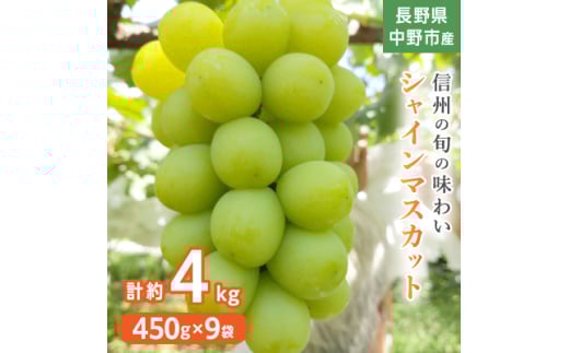 長野県中野市産ぶどう・シャインマスカット450g 9袋入り1箱【1494268】