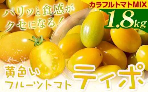 パリッと食感の黄色いフルーツトマト ティポ 900g カラフルトマト 900g 《10月中旬～5月末頃出荷》ジャム さっぱり 黄色い トマト 野菜 茨城県産 結城市産 国産 さっぱり 酸味が少ない 日持ち 食材 サラダ トッピング 料理
