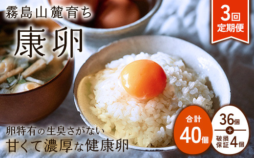 【2026年2月発送開始】卵【3回定期便】霧島山麓育ち こだわり卵 康卵 計40個（36個 + 割れ保証4個）3回 計 120個(108個 + 割れ保証 12個)たまご 玉子 卵焼き 玉子焼き たまご焼き 生卵 鶏卵 たまごかけごはん 国産 九州産 宮崎県産 送料無料