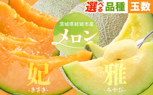 【令和7年先行予約】 茨城県結城市産 メロン 選べる内容量 食べ比べ セット 妃 雅 2玉 1玉 稲葉ファーム《9月下旬-10月中旬頃出荷予定》茨城県 結城市 送料無料 フルーツ 果物 高級メロン お取り寄せ 旬 産地直送 贈り物 お取り寄せフルーツ