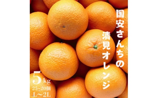 ＜まるで食べるジュース!越冬完熟品＞愛媛産 清見オレンジ 5kg＜D20-38＞【1594848】 2002276 - 愛媛県八幡浜市