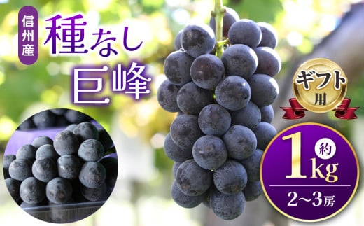 【先行受付】信州産 種無し巨峰 ギフト用 約1kg（2房～3房）【2025年9月～発送】｜ふるさと納税 信州 松本 巨峰 ぶどう 種なし 定番 甘い 果物 フルーツ 甘い おすすめ ギフト 1444912 - 長野県松本市