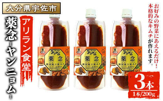 薬念 (計600g・200g×3本) 調味料 たれ タレ 万能調味料 ヤンニョム キムチ 韓国料理 鍋 麺 【107900400】【アリラン食堂】