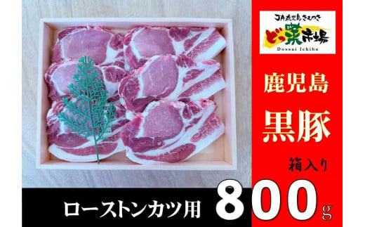 2883 鹿児島産黒豚ロースとんかつ木箱　800ｇ 【鹿児島 黒豚 豚肉 肉 国産 冷凍 ロース とんかつ ギフト 贈答】 2005993 - 鹿児島県鹿屋市