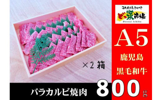 2881 A5ランク鹿児島産黒毛和牛バラカルビ焼肉木箱　800ｇ　400ｇ×2箱 【鹿児島 黒毛和牛 和牛 牛肉 肉 国産 冷凍 a5ランク バラ カルビ セット 詰め合わせ ギフト 贈答】 2005991 - 鹿児島県鹿屋市