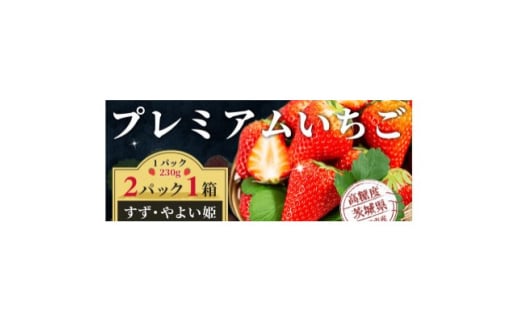 栽培期間中農薬を使用しないイチゴ　すず・やよい姫(各230g×1パック　合計2パック)【1581350】