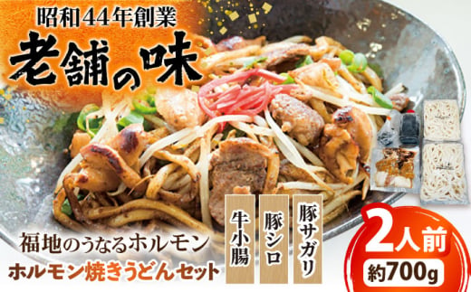 ホルモン焼きうどんセット 700g 日田市 / 福地のうなるホルモン [ARAY004] 2001485 - 大分県日田市