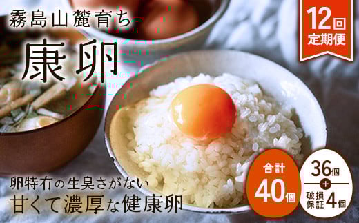 【2025年9月発送開始】卵【12回定期便】霧島山麓育ち こだわり卵 康卵 計40個（36個 + 割れ保証4個）12回 計 480個(432個 + 割れ保証 48個)たまご 玉子 卵焼き 玉子焼き たまご焼き 生卵 鶏卵 たまごかけごはん 国産 九州産 宮崎県産 送料無料