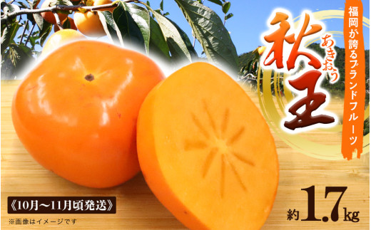 秋の贅沢、濃厚であま～い柿の新ブランド「秋王」約1.75 kg フルーツ 秋の味覚
