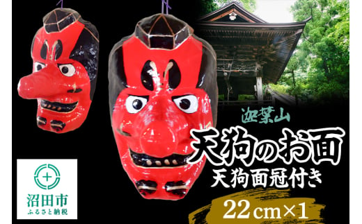 迦葉山 天狗面冠付き 22cm 群馬県ふるさと伝統工芸 天狗のお面 2001456 - 群馬県沼田市