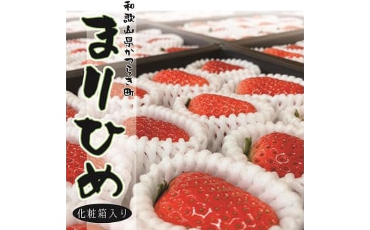 超特選☆いちご【まりひめ】【KF8】【1月中旬から3月下旬まで発送】 640023 - 和歌山県かつらぎ町
