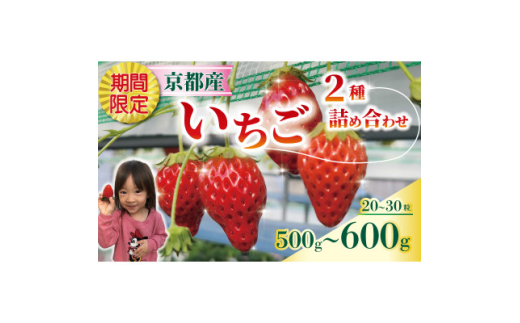 いちご 紅ほっぺ・章姫(2種合計 約500-600g) 1箱【1580016】