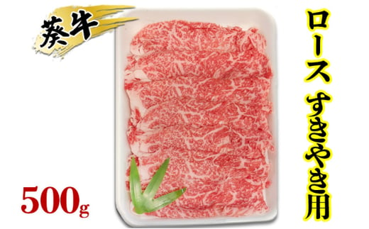 [№5695-1732]食通の静岡牛・葵 ロース すきやき用 500g 牛肉 島田市 2002537 - 静岡県島田市