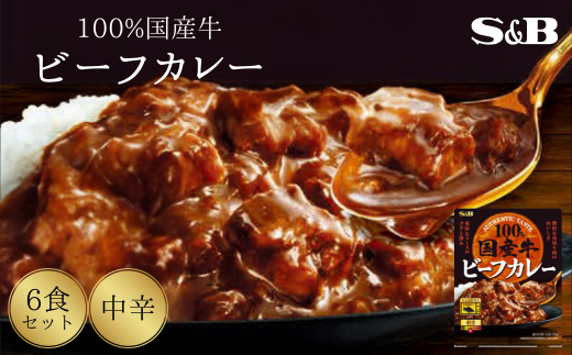 「S&B」国産牛ビーフカレー（中辛）170g×6個 【S&B】SB 国産牛100％ お手軽 レンジ対応 湯煎 簡単調理 楽ちん おかず 夕食 中辛 グルメ レトルト エスビー 食品 埼玉県 加須市 加須 お取り寄せ 返礼品 ふるさと納税 送料無料 送料込み 2087502 - 埼玉県加須市
