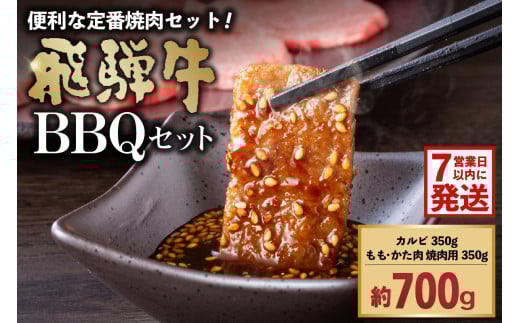【7営業日以内発送】飛騨牛BBQセット（カルビ350g、もも・かた肉 焼き肉用350g）【岐阜県 可児市 肉 お肉 ブランド ブランド牛 バーベキュー 詰め合わせ お取り寄せ グルメ 】
