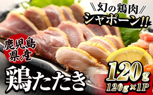 2901 唯一の国産　幻の鶏肉　シャポーン鹿児島鶏たたき（120ｇ×１パック）【鶏刺し 刺身 鶏肉 鶏 鳥肉 とりさし トリサシ シャポーン鶏】 2003212 - 鹿児島県鹿屋市