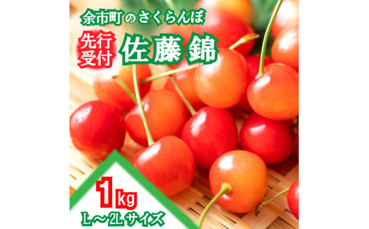 2025年発送【先行予約】令和7年産 佐藤錦【Ｌ～2Lサイズ】1Kg【すこやか自然農園】 2003506 - 北海道余市町