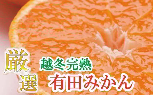 厳選 越冬完熟みかん 約2kg+60g（傷み補償分）ハウスみかん 光センサー選果 【2025年1月中頃より発送】 【IKE193】 468265 - 和歌山県かつらぎ町
