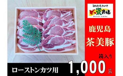 2886 鹿児島産茶美豚ロースとんかつ木箱　1000ｇ 【鹿児島 黒豚 豚肉 肉 国産 冷凍 ロース とんかつ ギフト 贈答】 2005996 - 鹿児島県鹿屋市