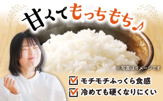 【選べる容量】 滋賀県湖北産 湖北のミルキークイーン 4.5・9.0・18・27kg(白米)　米 お米 ご飯 ごはん ゴハン