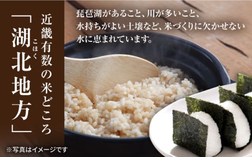 【選べる容量】 滋賀県湖北産 湖北のミルキークイーン 4.5・9.0・18・27kg(白米)　米 お米 ご飯 ごはん ゴハン